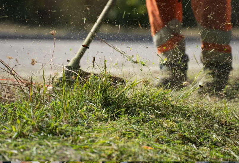 Trimmer av gräs på kanter